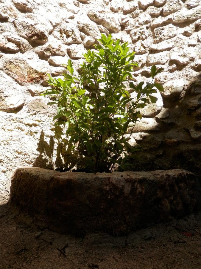 Cali B&B Alatri Exterior photo